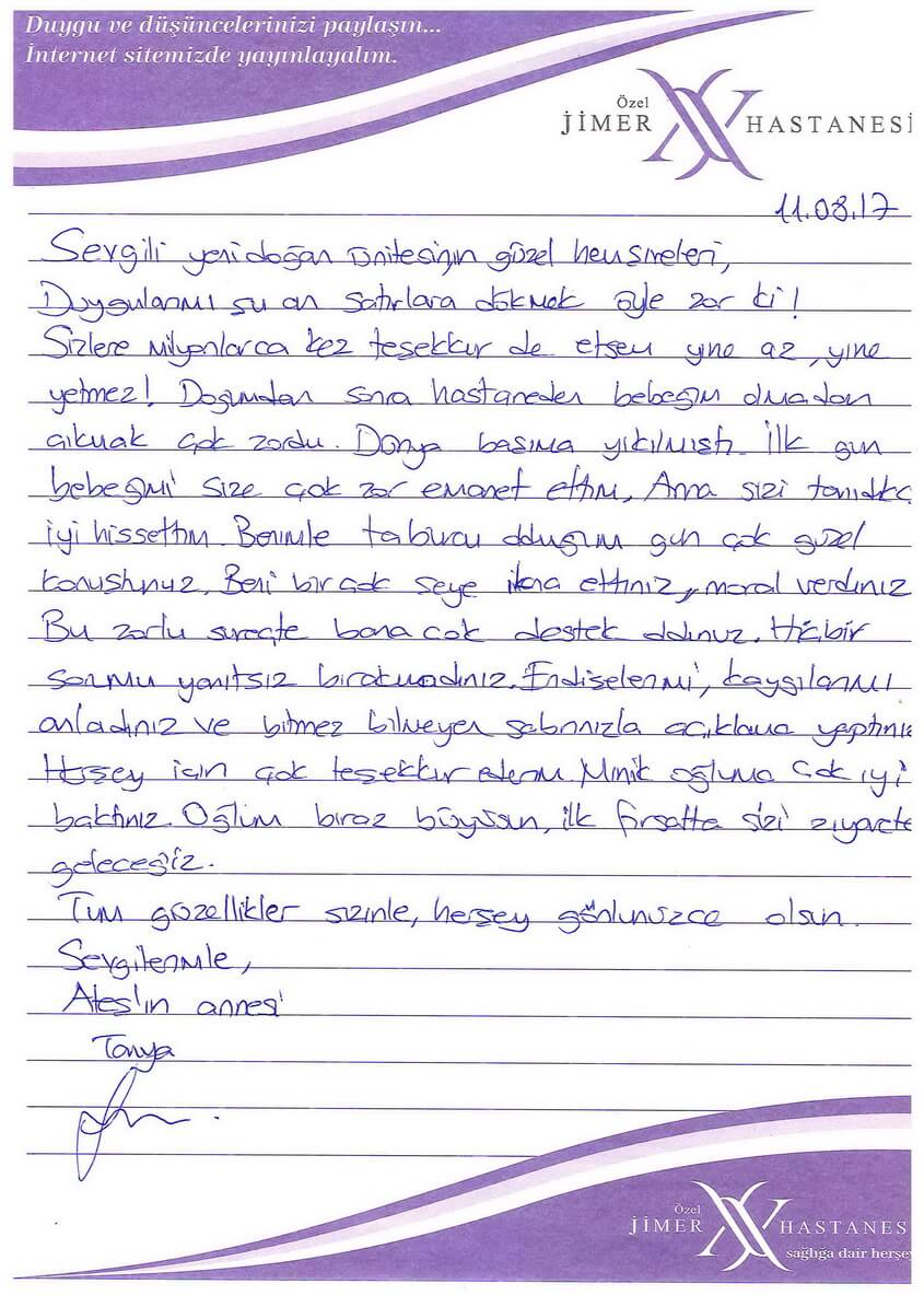 Ateş Bebek